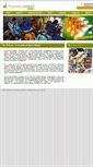 Mobile Screenshot of anusmitainfotech.com